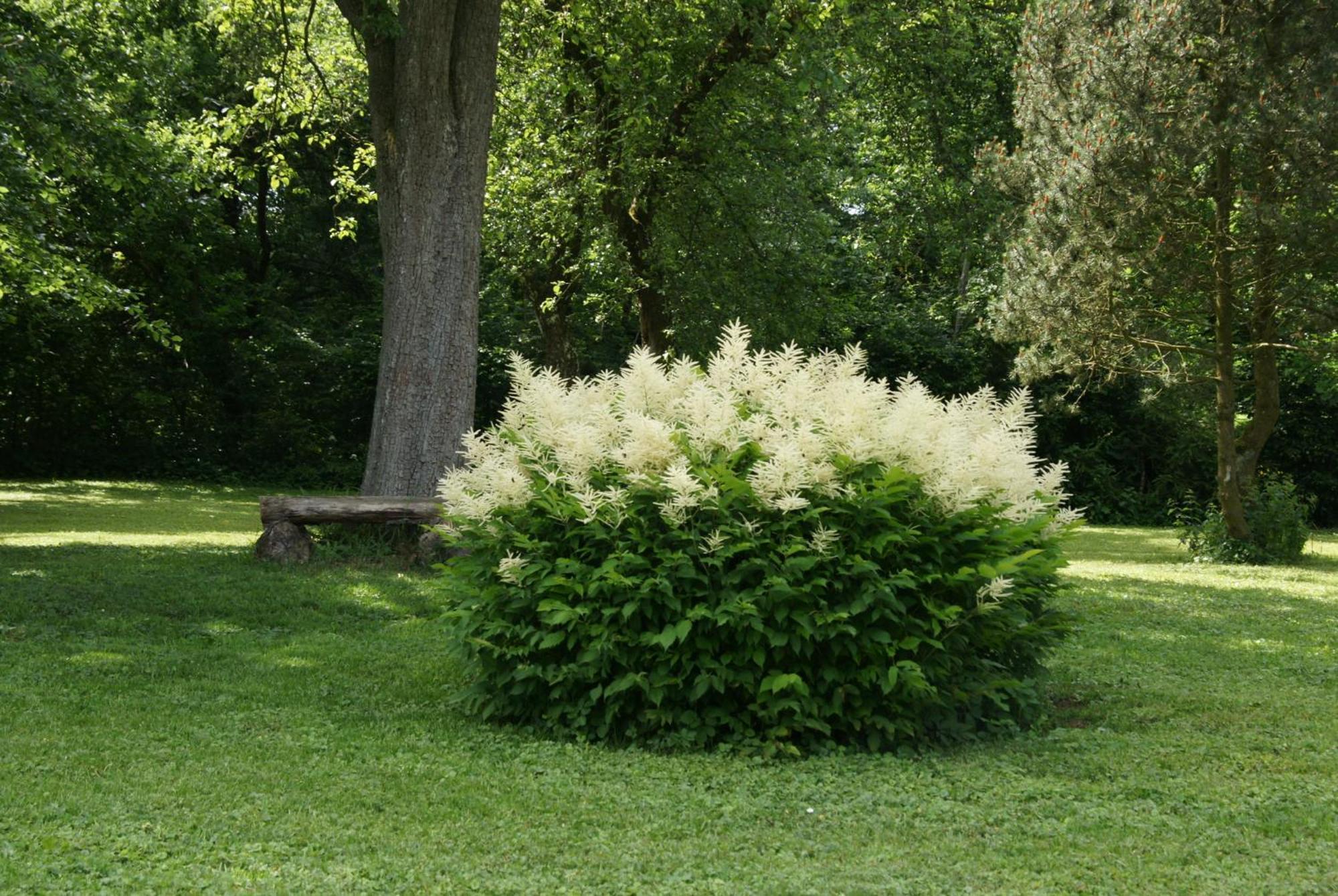 Landgasthof Em Lade Dahlem  Zewnętrze zdjęcie